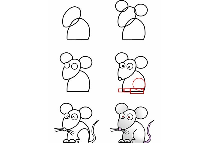 موش بانمک