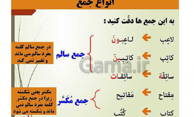 جمع در عربی