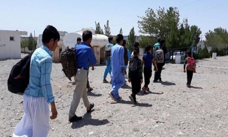 مهاجران افغانی در تلاش برای رسیدن به کرسی مجلس هستند