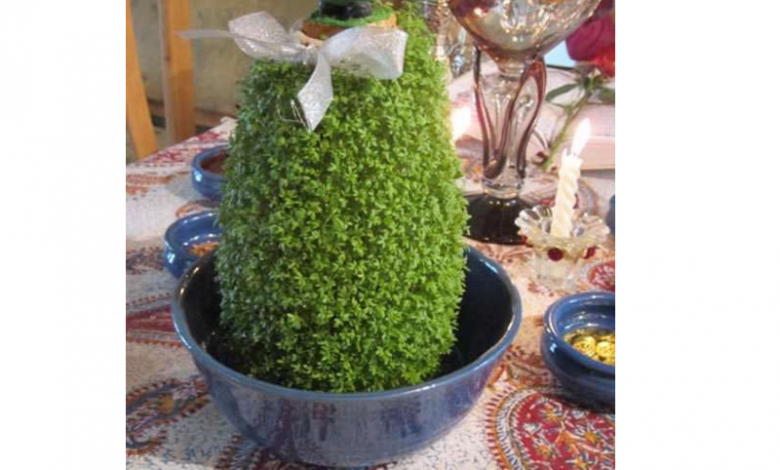سبزه خاکشیر روی کوزه یه سبزه‌ی خیلی خاص برای عید