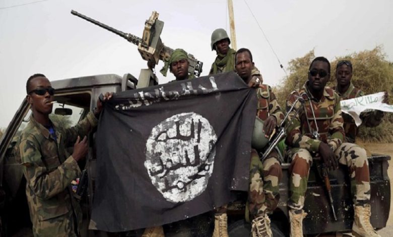 ارتش نیجریه می‌گوید یکی از دانش‌آموزان شهر چیبوک در شمال شرق نیجریه را که یک دهه پیش توسط گروه تروریستی بوکوحرام ربوده شده بود، نجات داده است.