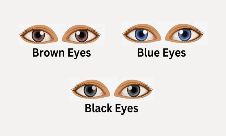رنگ چشم شما چیست؟ آیا چشمان قهوه ای، آبی یا مشکی دارید؟ می دانید رنگ چشم شما ویژگی های شخصیتی پنهان شما را آشکار می کند
